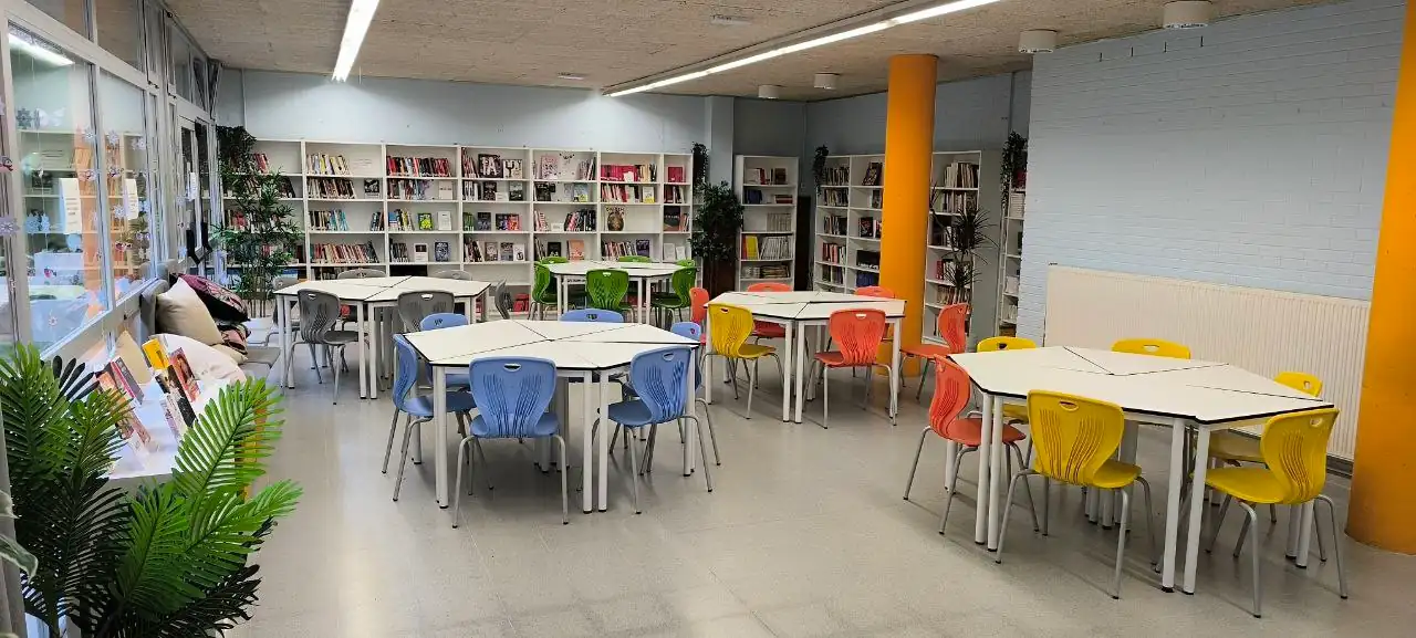 Biblioteca Header Image